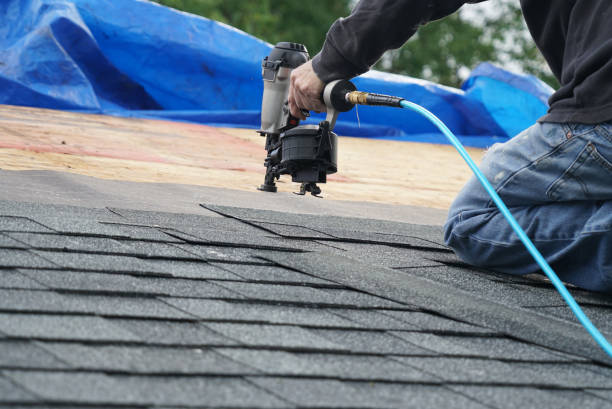 Best Roof Gutter Cleaning  in Arche, OK